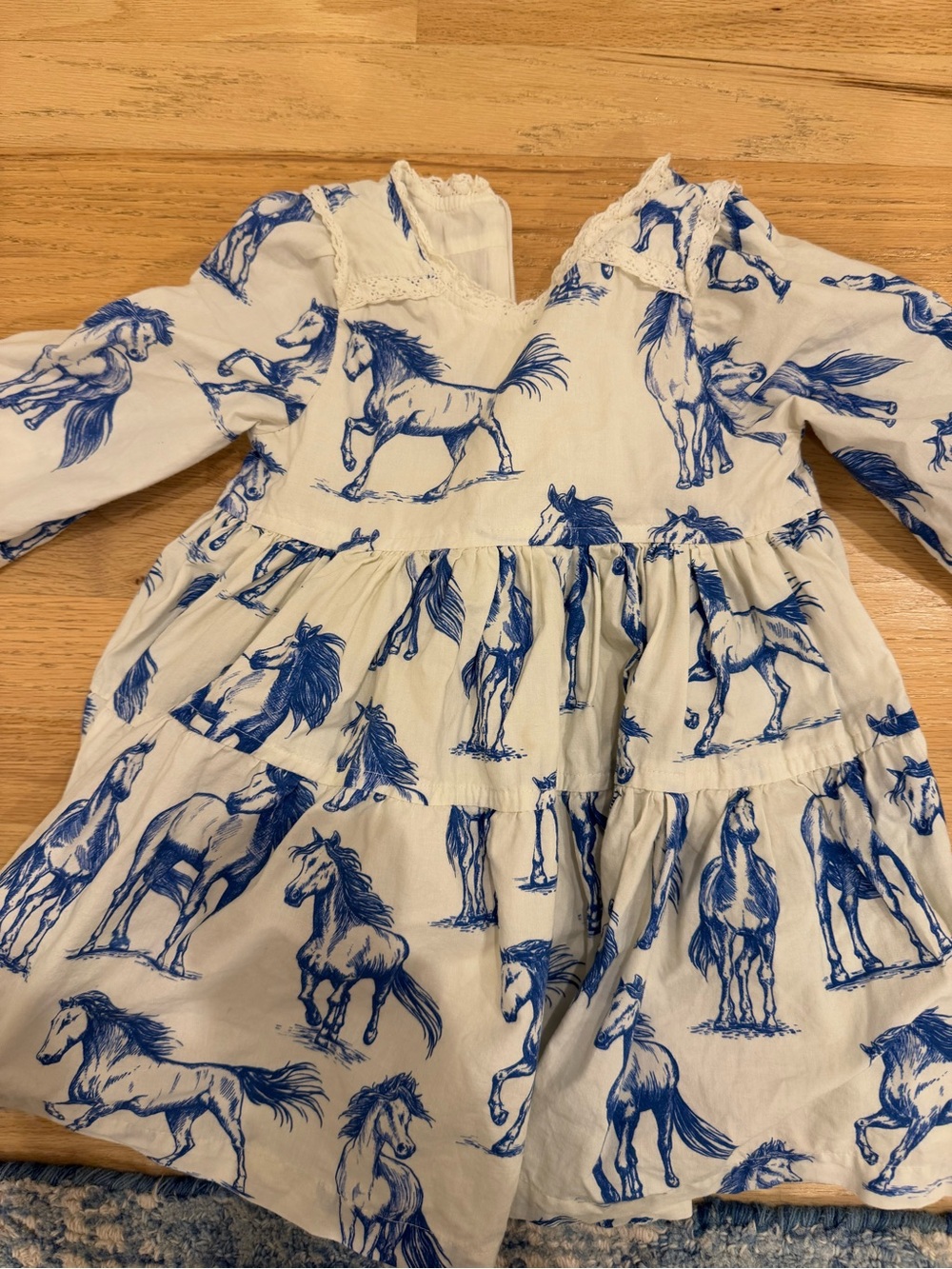 Pink Chicken Charlie Blue Horses Dress – 2Y
